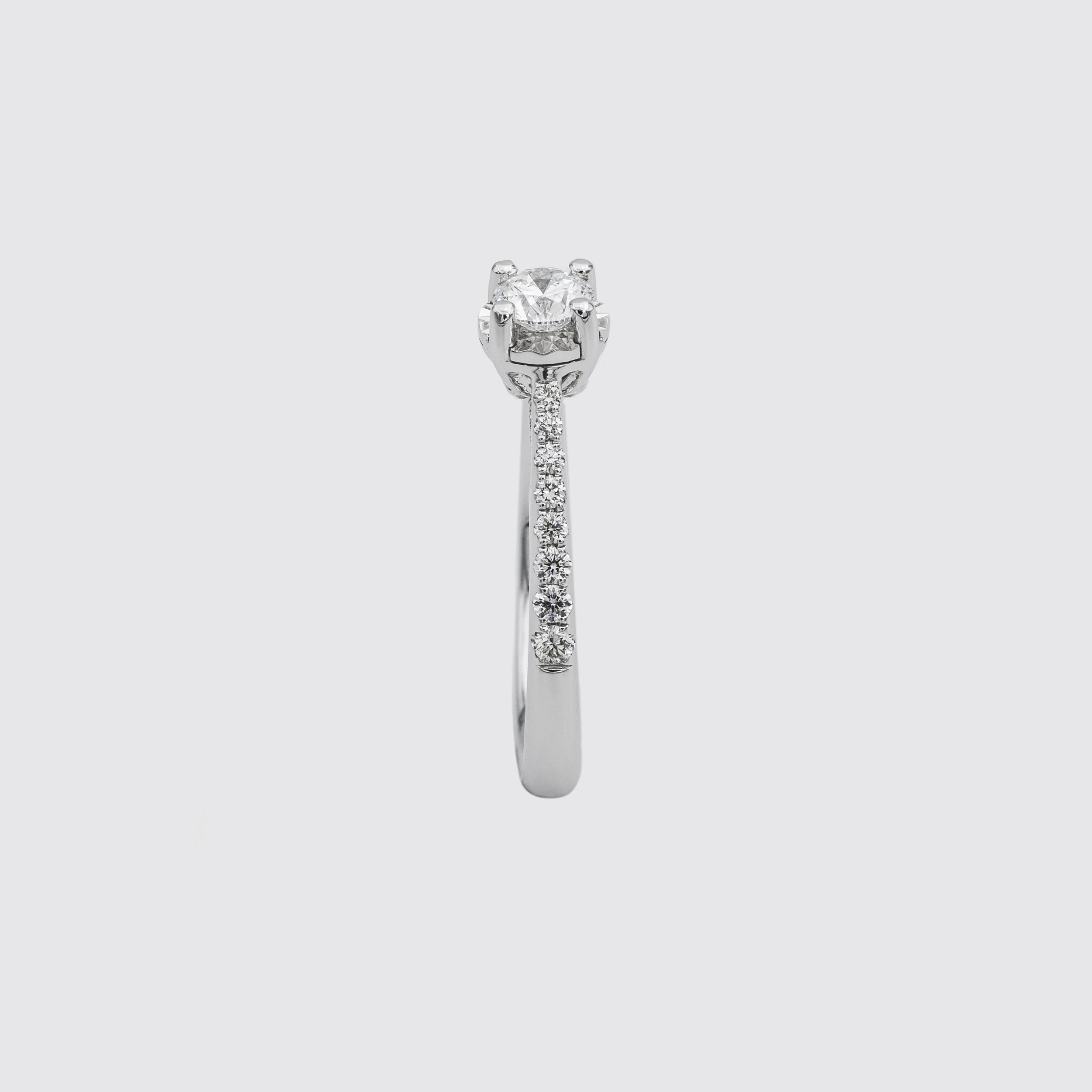 Solitaire ring in white gold and diamonds, Miluna